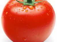 طرح توجیهی تولید مشتقات گوجه فرنگی