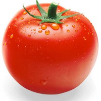 طرح توجیهی تولید مشتقات گوجه فرنگی