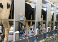 طرح توجیهی تولید شیر دوش های صنعتی
